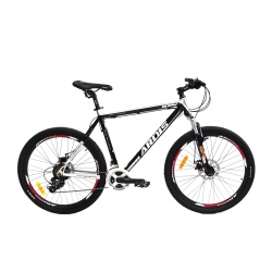 Bicycle ARDIS 26 MTB AL ION
